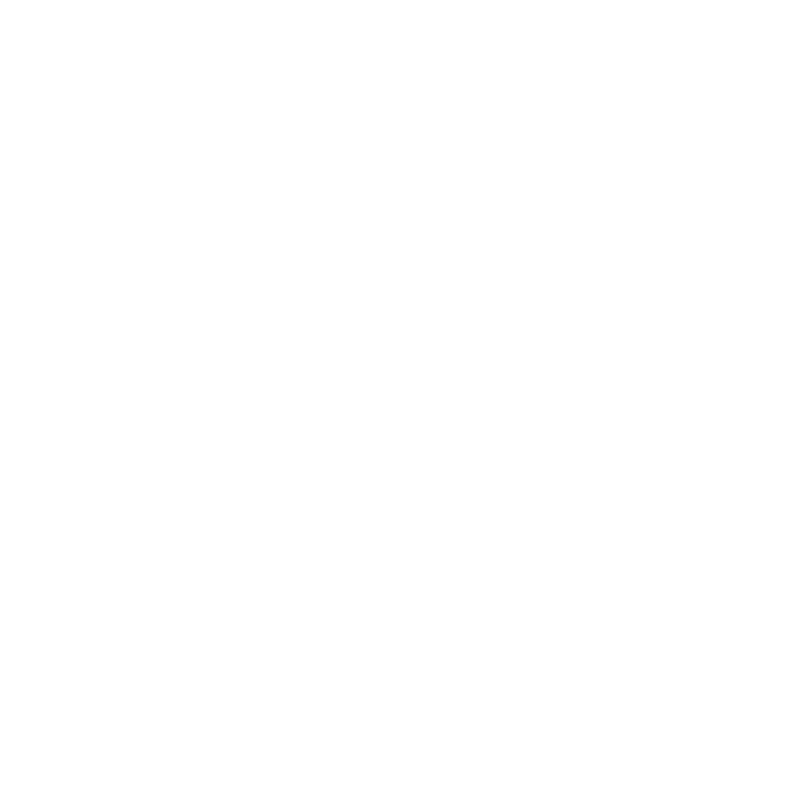 Oasix Consulting